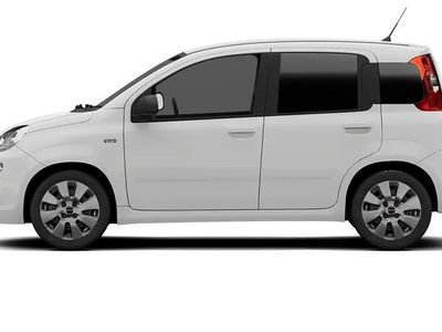 Usado Fiat Panda Easy 69 HP (50 kW) 2020 Citadino