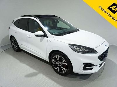 Used Ford Kuga ST-Line X 120 HP (88 kW) 2021 White SUV