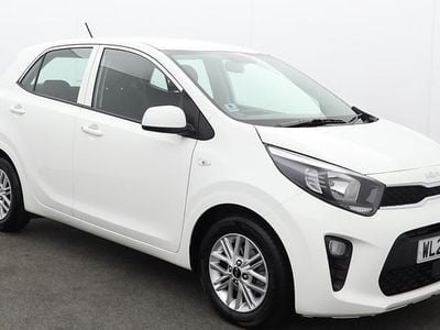 Used Kia Picanto 66 HP (48 kW) 2024 White Hatchback