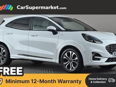 Used Ford Puma ST-Line 125 HP (91 kW) 2023 White SUV