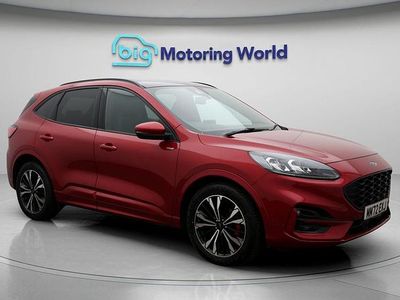 Used Ford Kuga ST-Line X 188 HP (138 kW) 2022 SUV