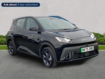 New BYD Dolphin Boost 64 kW (88 HP) 2026 Black Hatchback