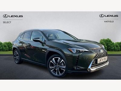 Used Lexus UX 300h 2024 Green SUV