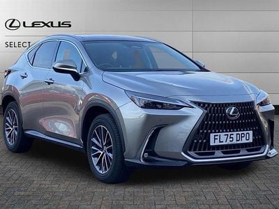 Used Lexus NX350h 243 HP (178 kW) 2025 Unknown SUV