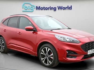 Used Ford Kuga ST-Line X 224 HP (164 kW) 2022 SUV