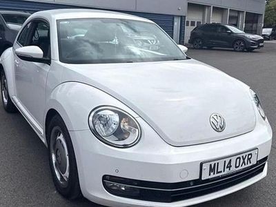 VW Beetle