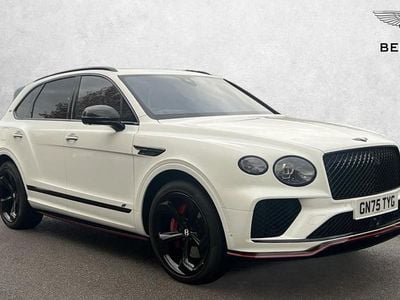 Used Bentley Continental GT 550 HP (404 kW) 2025 White Estate