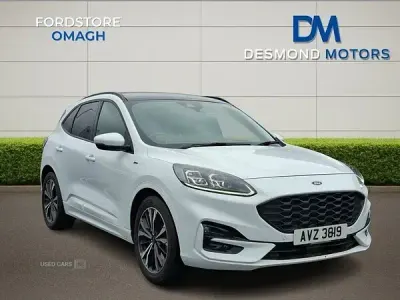 Used Ford Kuga ST-Line X 120 HP (88 kW) 2023 White SUV