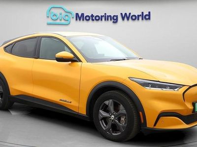 Used Ford Mustang Extended Range 294 HP (216 kW) 2021 Estate