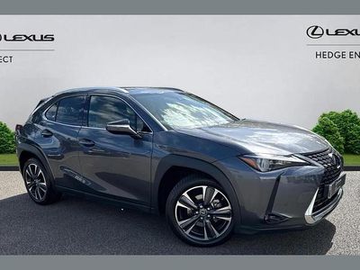 Used Lexus UX 250h 180 HP (132 kW) 2022 Grey SUV