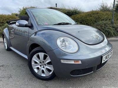VW Beetle