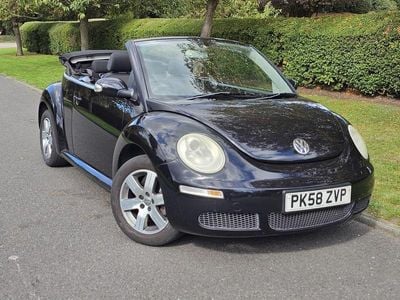 VW Beetle