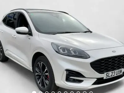 Used Ford Kuga ST-Line X 225 HP (165 kW) 2023 White SUV