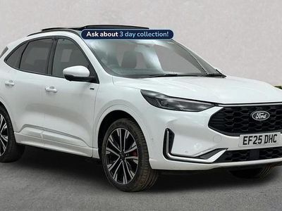 Begagnad Ford Kuga ST-Line X 243 HK (178 kW) 2025 Vit SUV