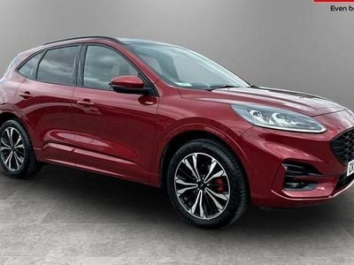 Used Ford Kuga ST-Line X 224 HP (164 kW) 2023 SUV