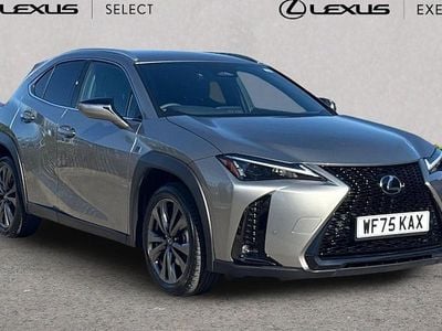 Used Lexus UX 300h Sport Design Packet 199 HP (146 kW) 2026 SUV
