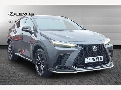 Used Lexus NX350h Sport Line 197 HP (144 kW) 2025 Grey SUV