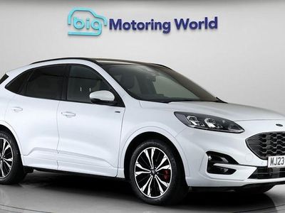 Used Ford Kuga ST-Line X 150 HP (110 kW) 2023 White SUV