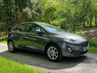 Used Ford Fiesta Zetec 98 HP (72 kW) 2019 Grey Hatchback