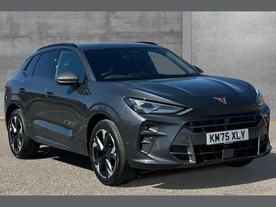 Used Cupra Terramar 147 HP (108 kW) 2025 Grey SUV