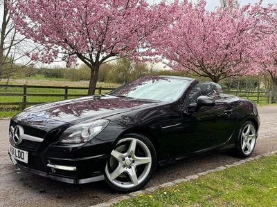 Used Mercedes SLK200 Sport Edition 2011 Black Cabriolet