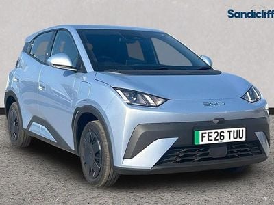 New BYD Dolphin Active 64 kW (88 HP) 2026 Metallic  ice blue Hatchback