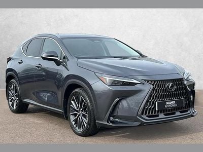 Used Lexus NX450h+ 301 HP (221 kW) 2023 Grey SUV