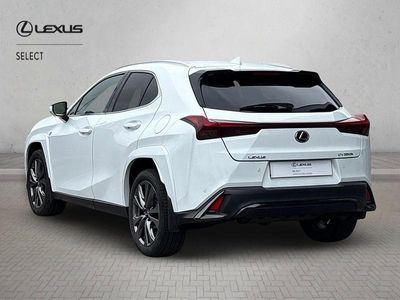 Used Lexus UX 250h Sport Line 2023 White SUV