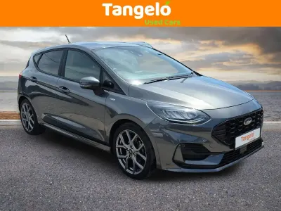 Used Ford Fiesta ST-Line 100 HP (73 kW) 2022 Grey Hatchback