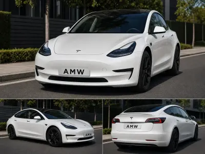 Used Tesla Model 3 Long Range AWD 366 kW (498 HP) 2020 White Sedan