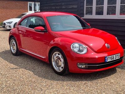 VW Beetle