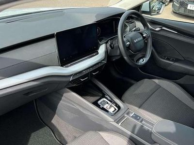 Used Skoda Octavia 2025 Estate