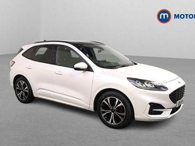 Used Ford Kuga ST-Line X 150 HP (110 kW) 2023 SUV