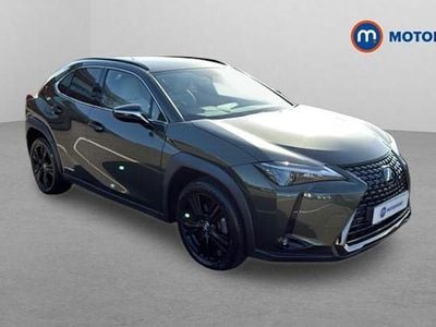 Usado Lexus UX 250h