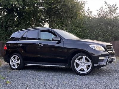 Mercedes ML250