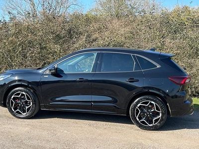 Used Ford Kuga ST-Line X 180 HP (132 kW) 2025 SUV