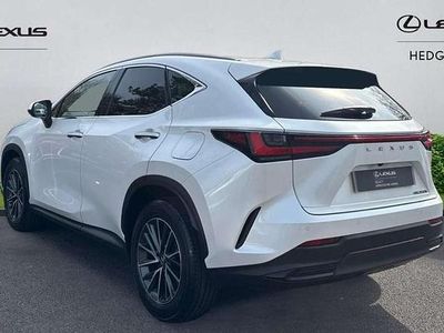 Used Lexus NX350h 240 HP (176 kW) 2023 White SUV