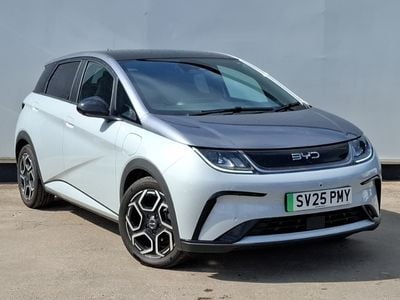 BYD Dolphin