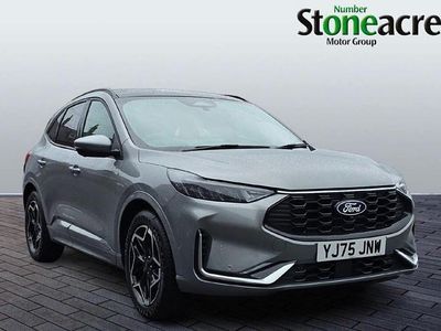 New Ford Kuga ST-Line X 150 HP (110 kW) 2025 SUV