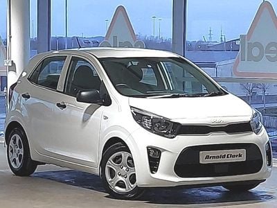 Used Kia Picanto 2023 White Hatchback