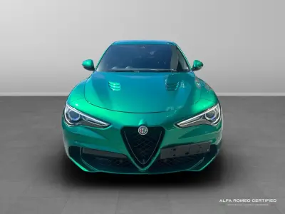 Begagnad Alfa Romeo Stelvio Quadrifoglio 503 HK (369 kW) 2022 Grön SUV