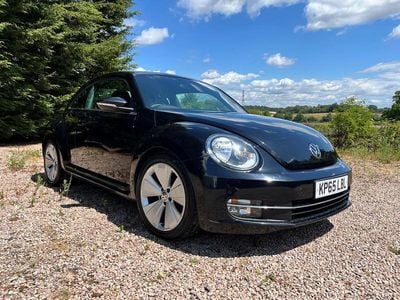 VW Beetle