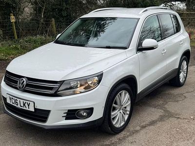 Used VW Tiguan Edition 150 HP (110 kW) 2016 White SUV