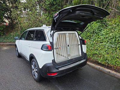 Second-hand Peugeot 5008 Allure Premium 130 CP (95 kW) 2021 Alb SUV