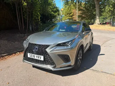 Used Lexus NX300h Sport Line 194 HP (142 kW) 2018 Silver SUV