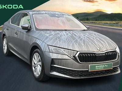 Used Skoda Octavia First Edition 150 HP (110 kW) 2024 Grey Hatchback
