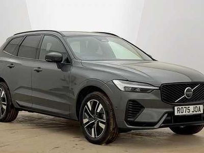 Used Volvo XC60 Plus 350 HP (257 kW) 2026 SUV
