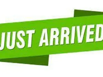 Used VW Passat