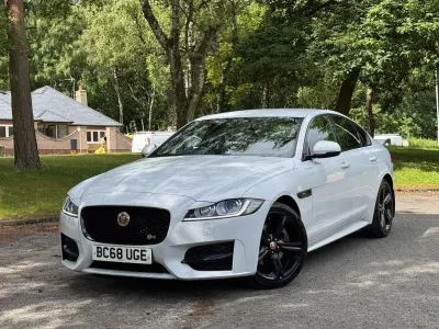 Used Jaguar XF R-Sport 180 HP (132 kW) 2018 White Sedan