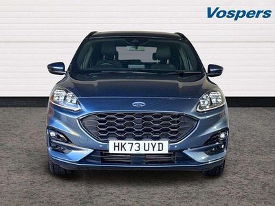 Used Ford Kuga ST-Line X 150 HP (110 kW) 2023 Blue SUV